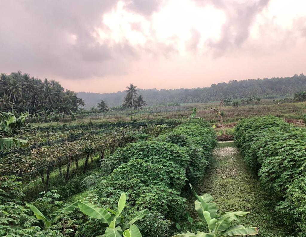 Villa Anandha Thiruvananthapuram Kültér fotó