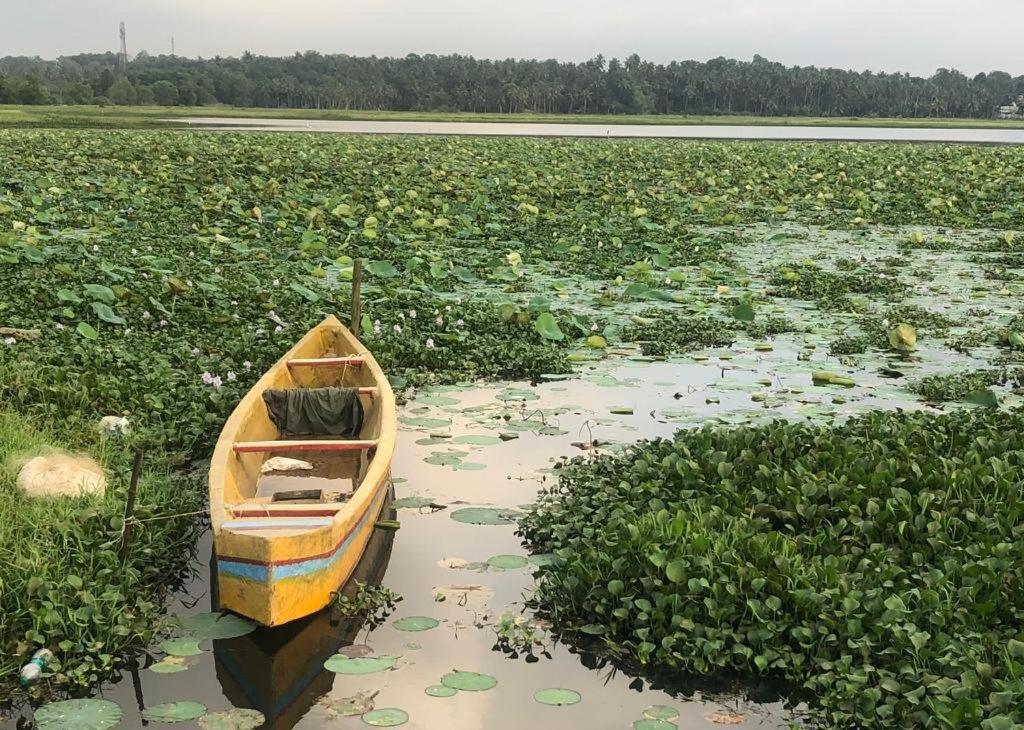 Villa Anandha Thiruvananthapuram Kültér fotó